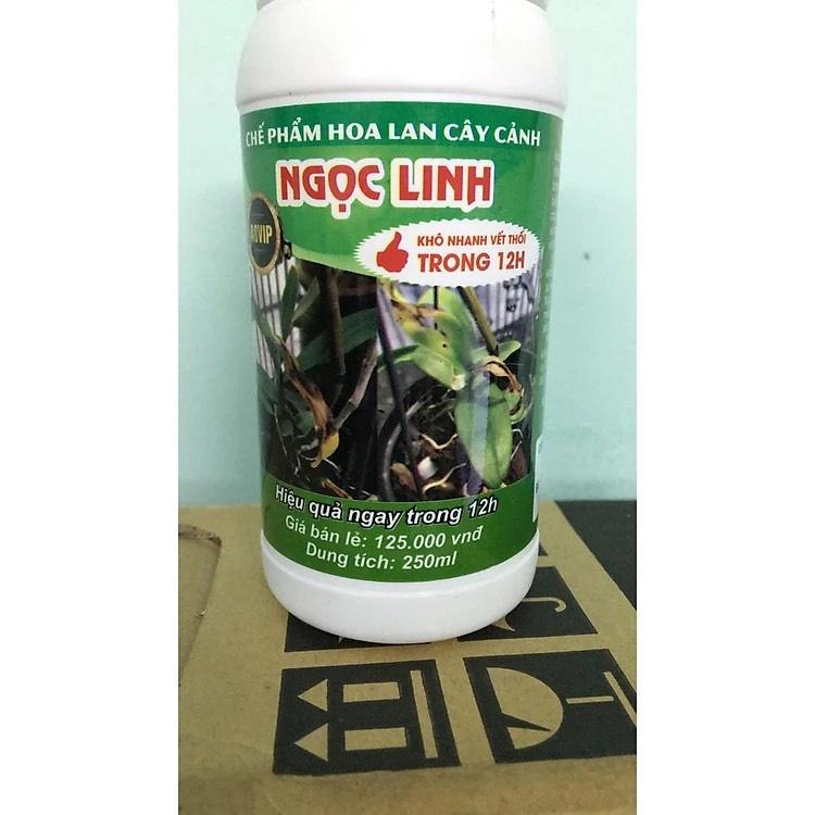 Chế Phẩm Ngọc Linh Chống Thối Nhũn Cho Hoa Lan, Hoa Hồng, Cây Cảnh. Hiệu Quả Sau 12h