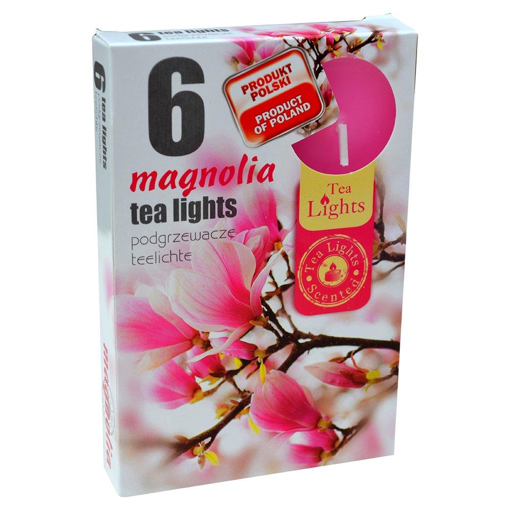 Hộp 6 nến thơm tinh dầu Tealight Admit Magnolia QT026077 - hoa mộc lan, nến trang trí, thơm phòng, thư giãn, khử mùi