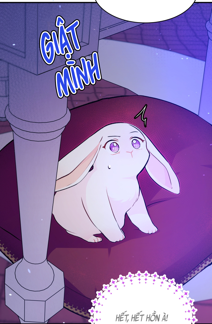 mối liên kết giữa báo đen và bé thỏ chapter 4 17