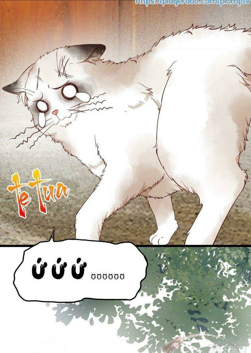 sát thủ vương phi không dễ chọc chapter 35 7