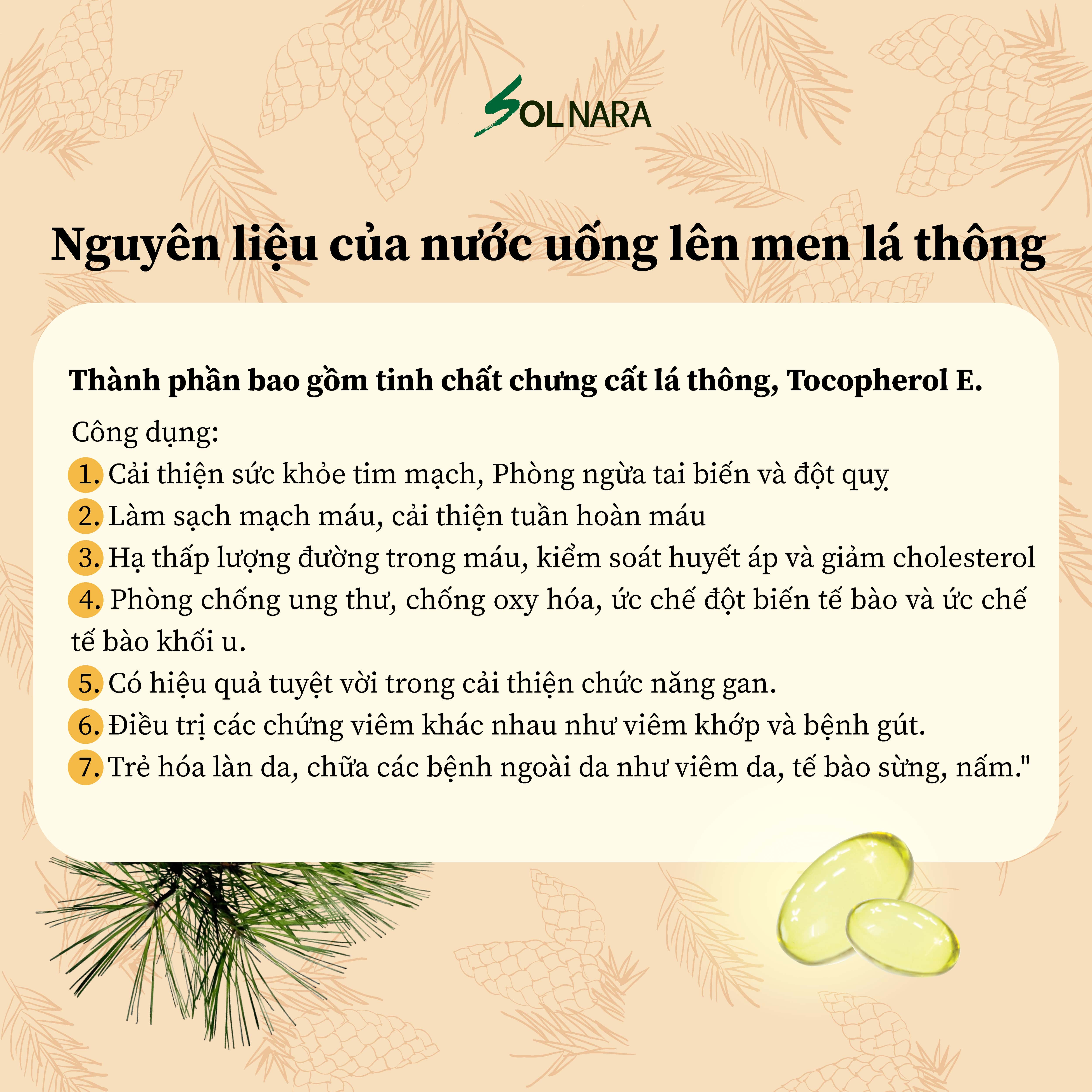 Tinh dầu Thông Đỏ Solnara Hộp 60 viên