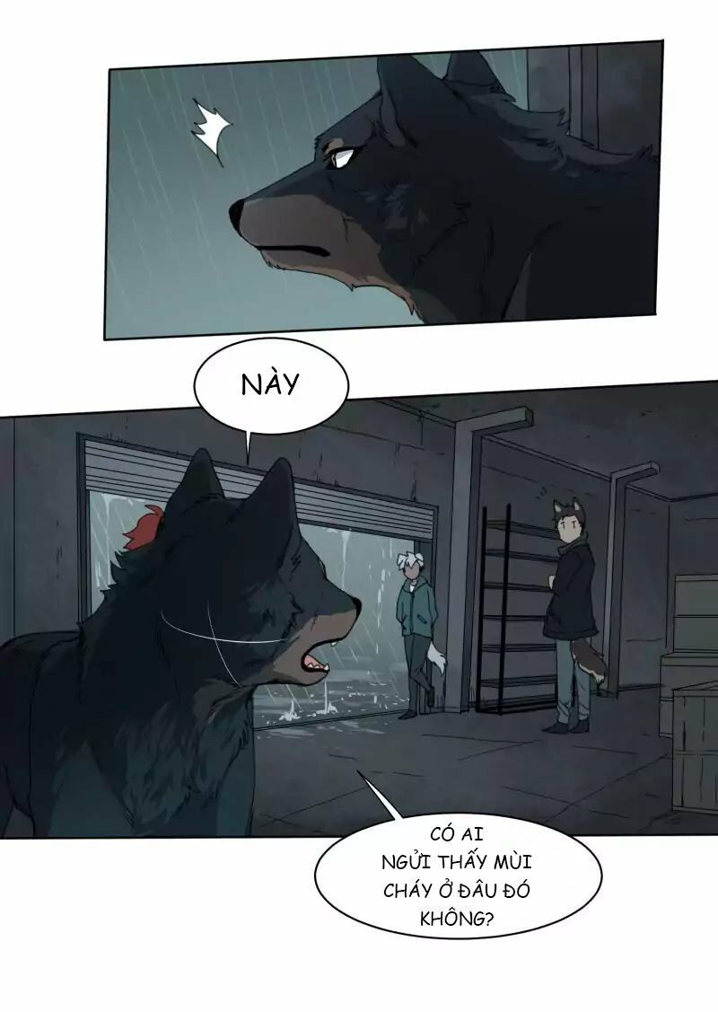 lumine - cội nguồn ánh sáng chapter 24 16