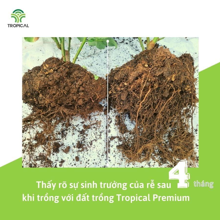 Đất trồng Hoa hồng và cây bụi cao cấp Tropical Premium - 20dm3
