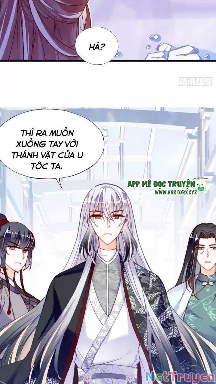 lại bị bệnh chiều chuộng quấn lấy chapter 9 51