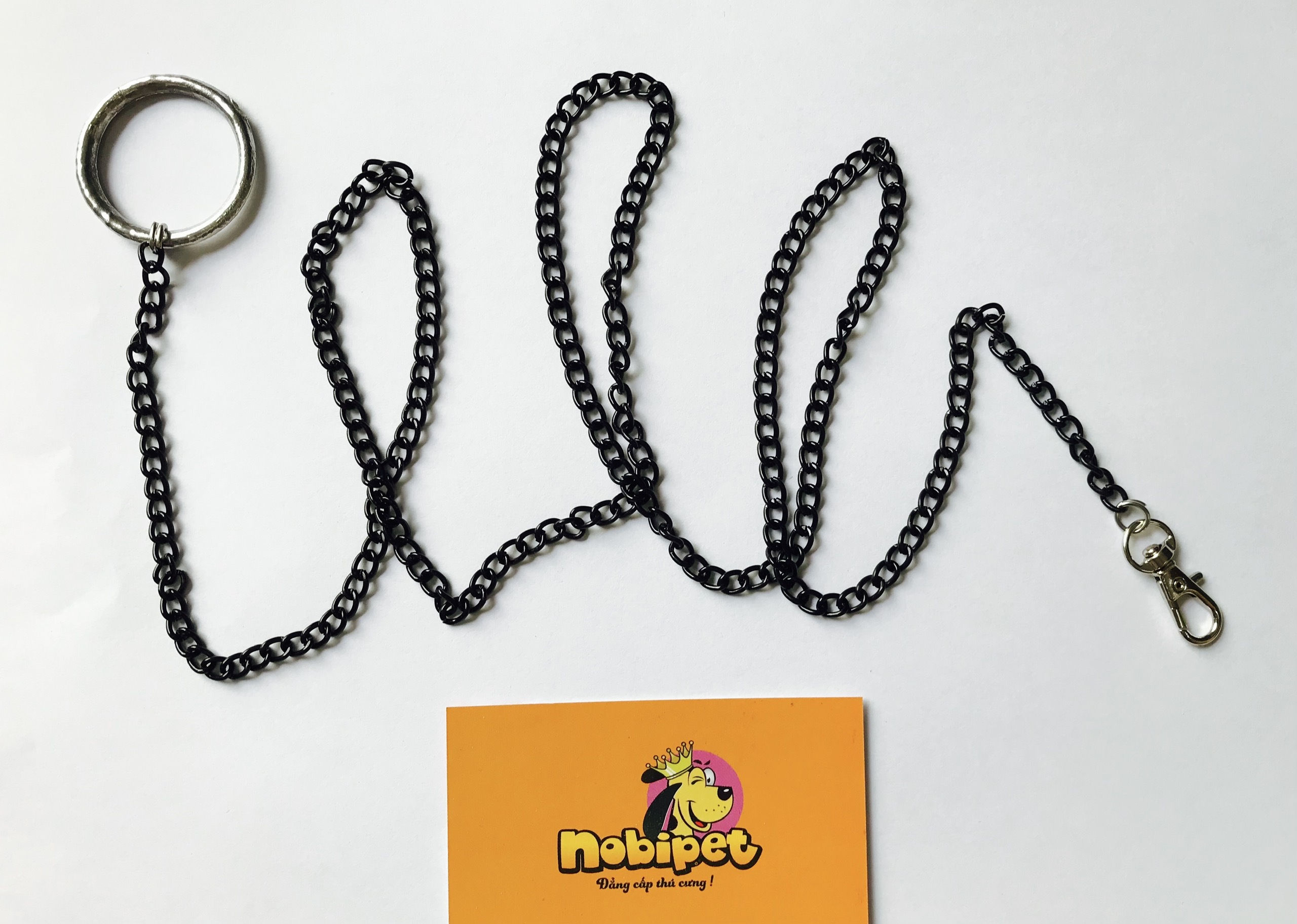 Combo dây xích + vòng cổ CHẮC CHẮN cho Sóc Bắc Mỹ Sóc Hoàng Đế, Sóc Bông, Sóc Lửa, Sóc Hoàng Đế Úc Lớn Trưởng Thành