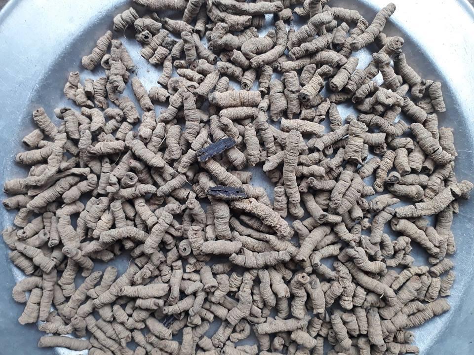 Cây Ba kích tím quảng ninh - Khô tách lỏi 500gr
