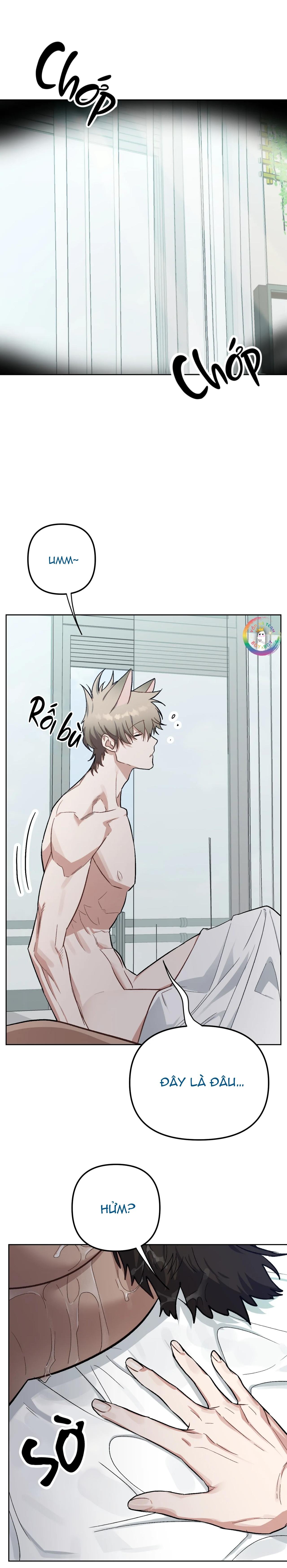 thỏ xuất tinh trong vòng 3 giây chapter 5 2