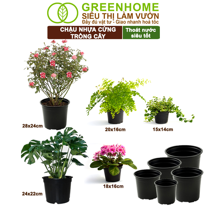 Bộ 3 Chậu nhựa trồng cây, nhiều kích thước, thoát nước tốt, đa dạng kích thước trồng cây, hoa, kiểng lá |Greenhome