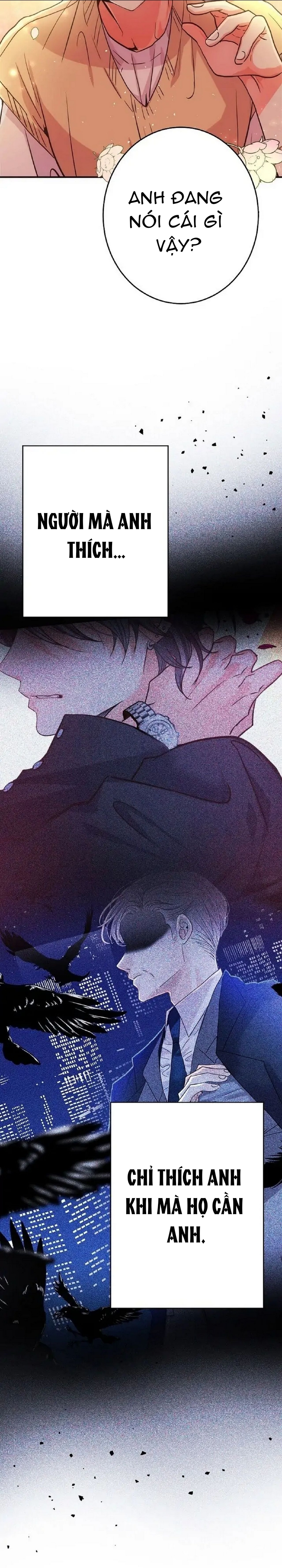 mối quan hệ phù hợp chapter 19 14