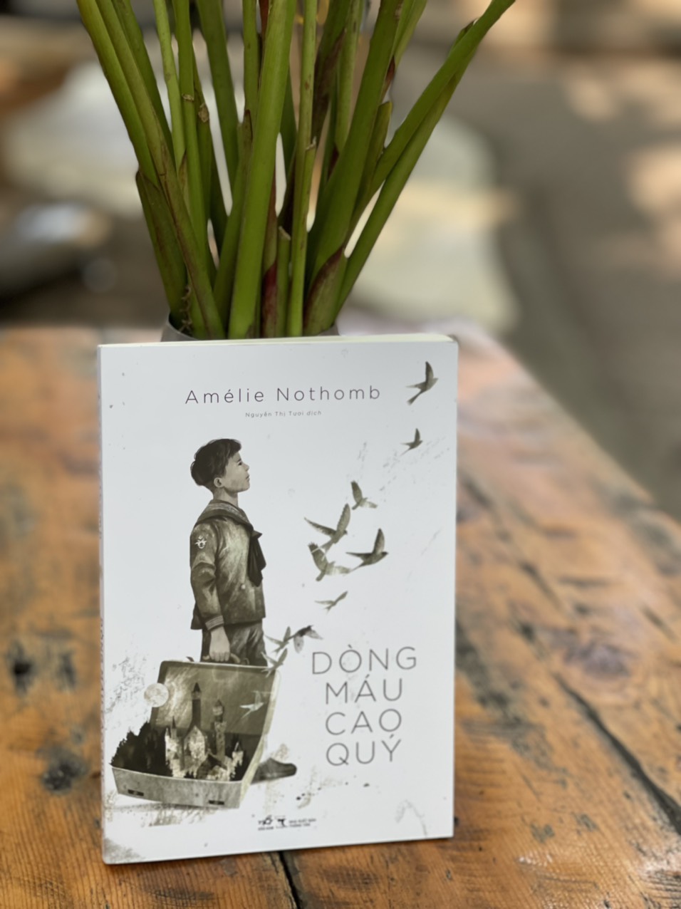 Dòng Máu Cao Quý Amélie Nothomb Nguyễn Thị Tươi Dịch - Nhã Nam - Nxb Thông Tấn