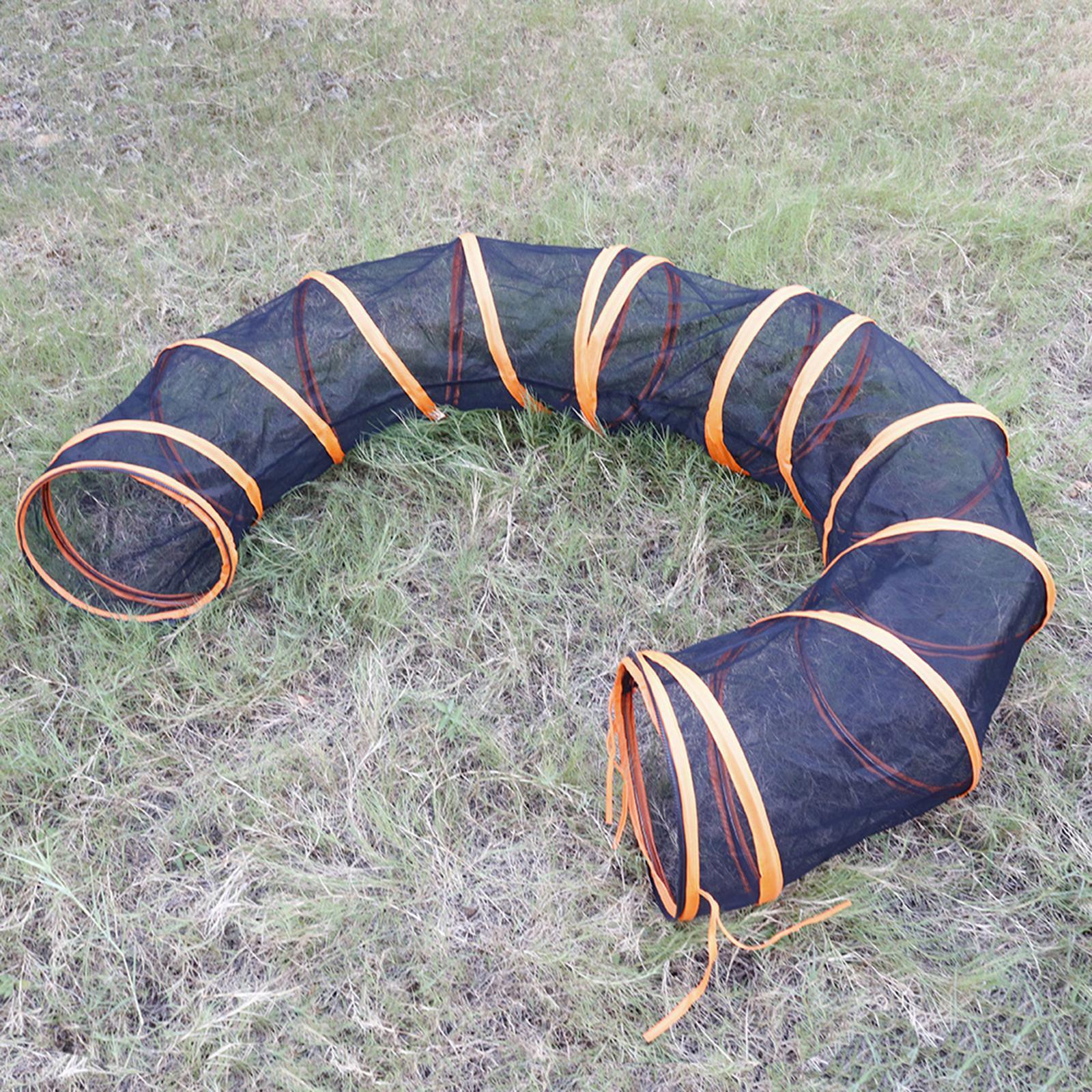 Cat Tunnel Toys Interactive Indoor Cats Interactive Toy Cat Tube for Rat