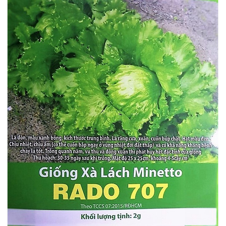 Hạt giống Xà lách Minetto 707