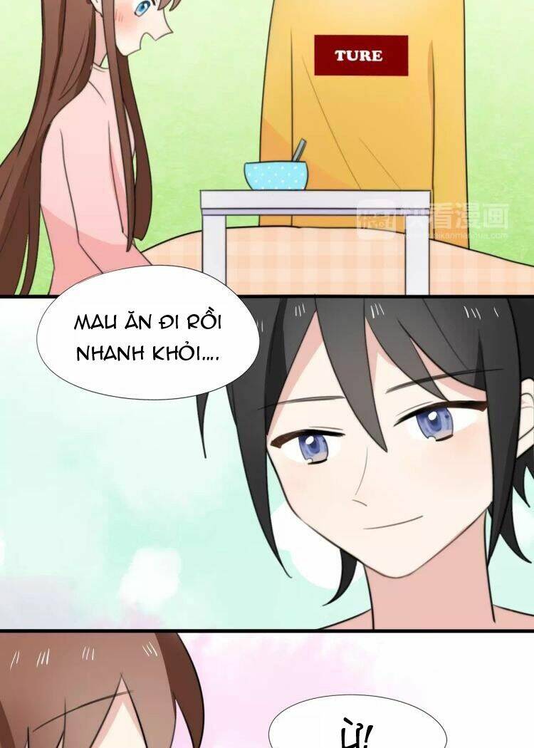 tiểu miêu và hắc diệu thạch chapter 15 20