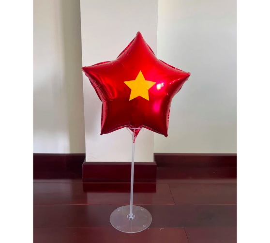 BÓNG BAY IN NGÔI SAO VÀNG - CHÀO MỪNG NGÀY GIẢI PHÓNG 30/4