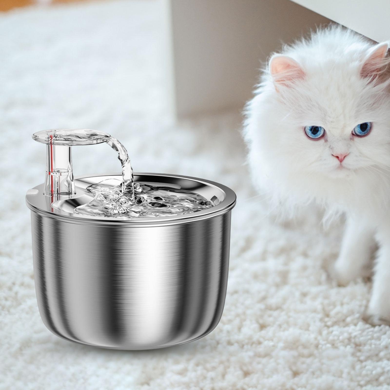 Dispenser with Water Feeder