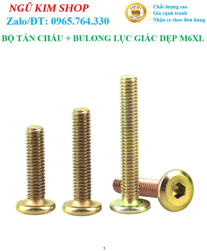 TÁN CHẤU KÈM BULONG LỤC GIÁC DẸP M6 x L THEO BỘ