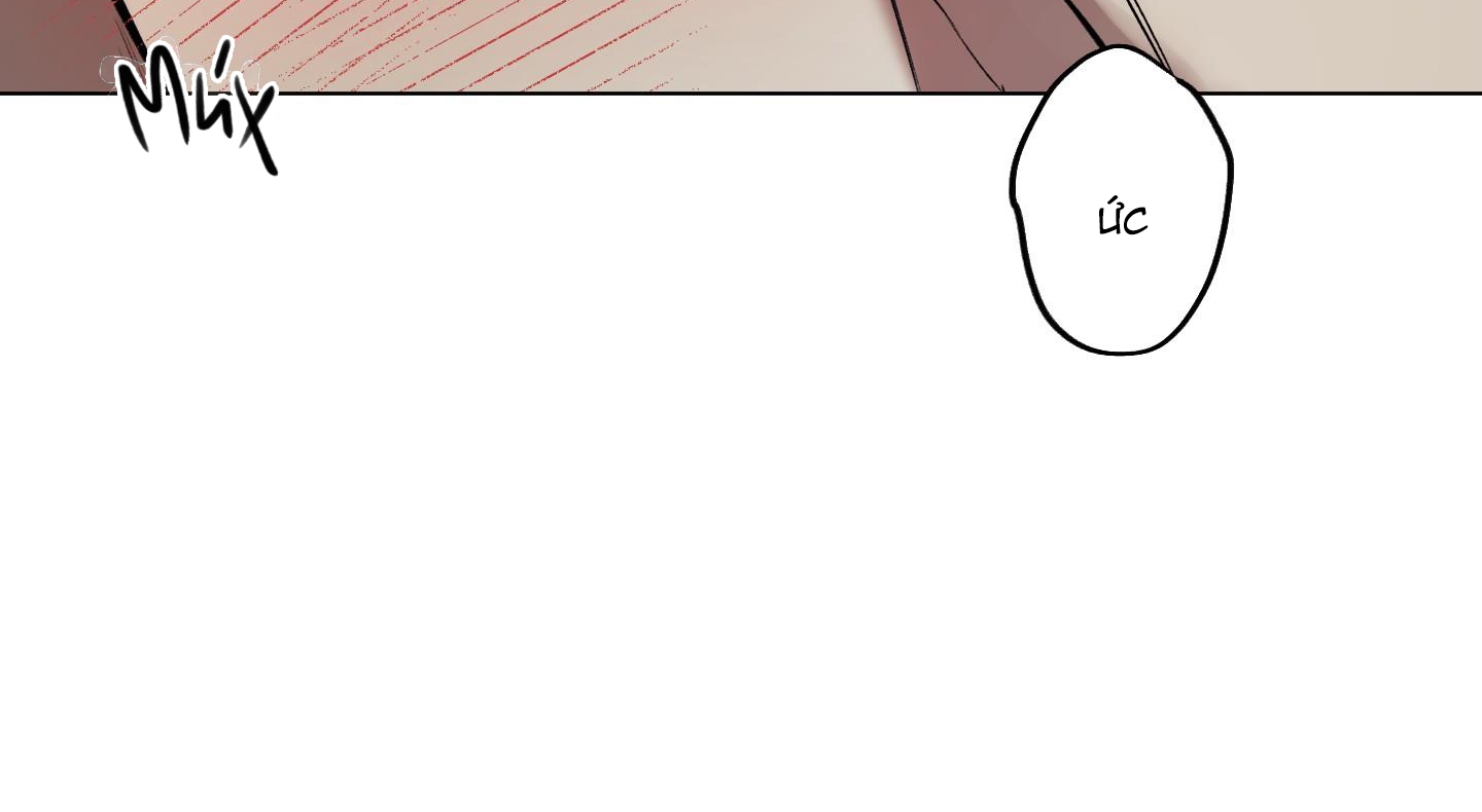 định rõ mối quan hệ chapter 41 153