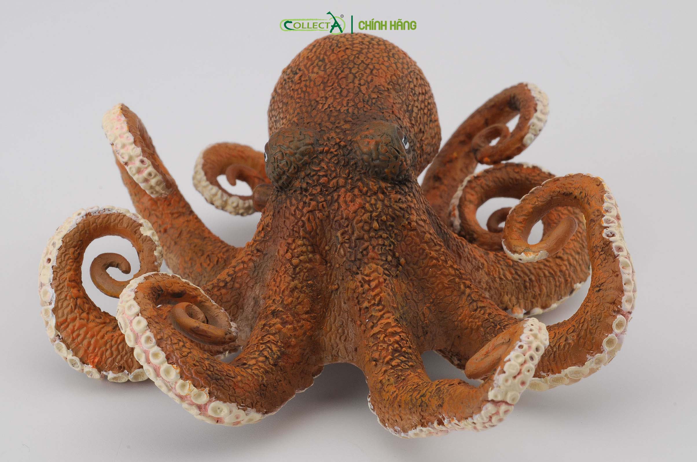 Mô hình thu nhỏ: Bạch Tuộc - Octopus, hiệu: CollectA, mã HS 9652150[88485] -  Chất liệu an toàn cho trẻ - Hàng chính hãng