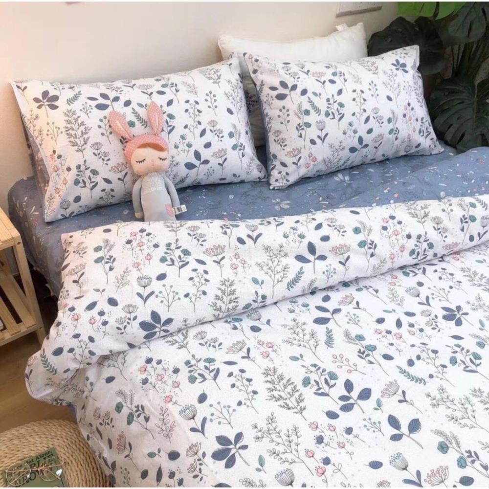 Set chăn ga gối cotton living cao cấp bo chun miễn phí