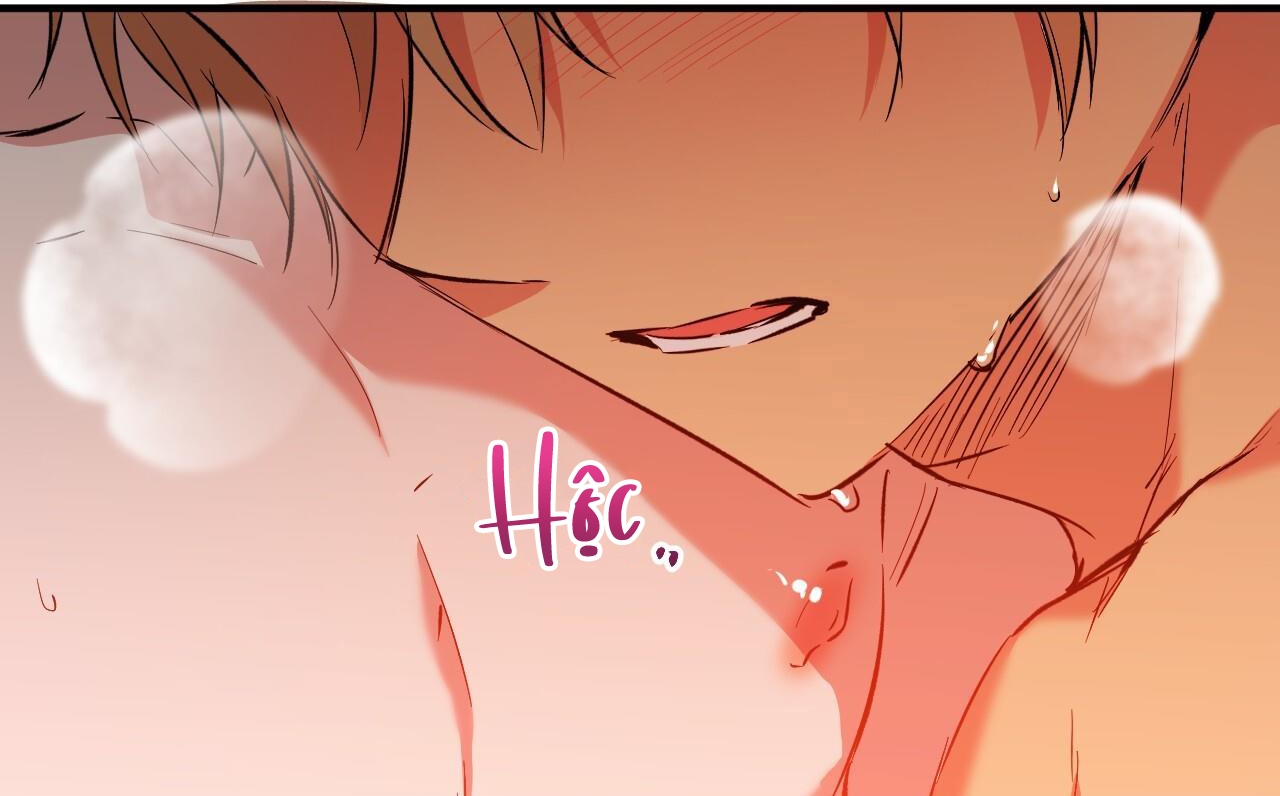 những chú thỏ của hapypy chapter 63 236