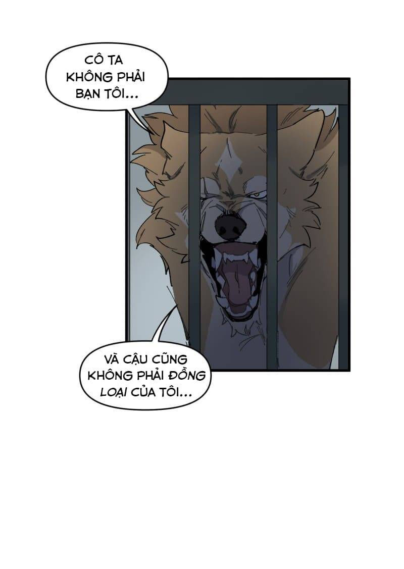 lumine - cội nguồn ánh sáng chapter 144 32