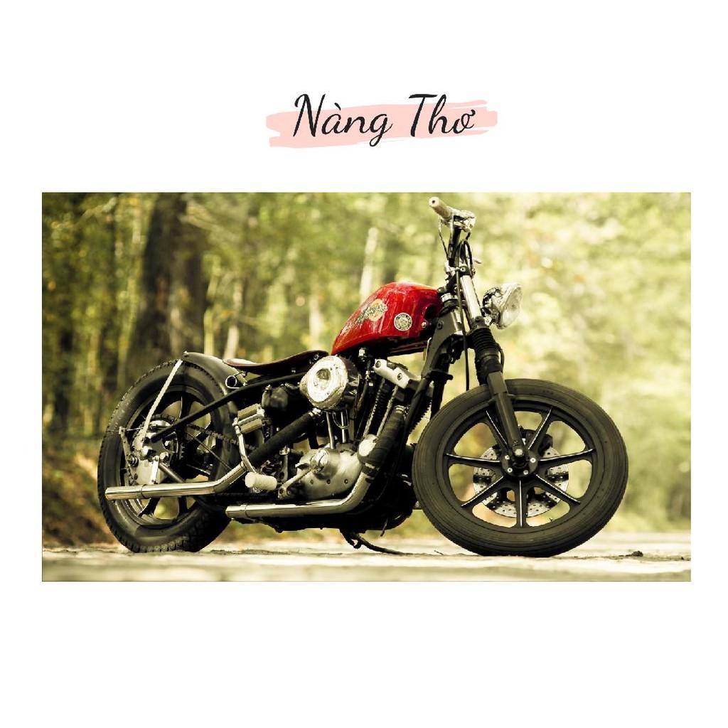 HÌNH XE MOTO DÁN TƯỜNG NHIỀU KÍCH THƯỚC _DECAL VIP
