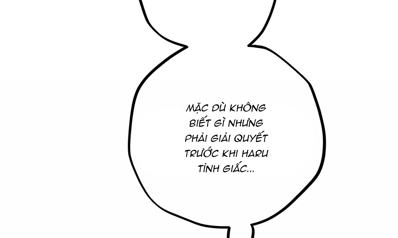 đàn thỏ của habibi chapter 39 95