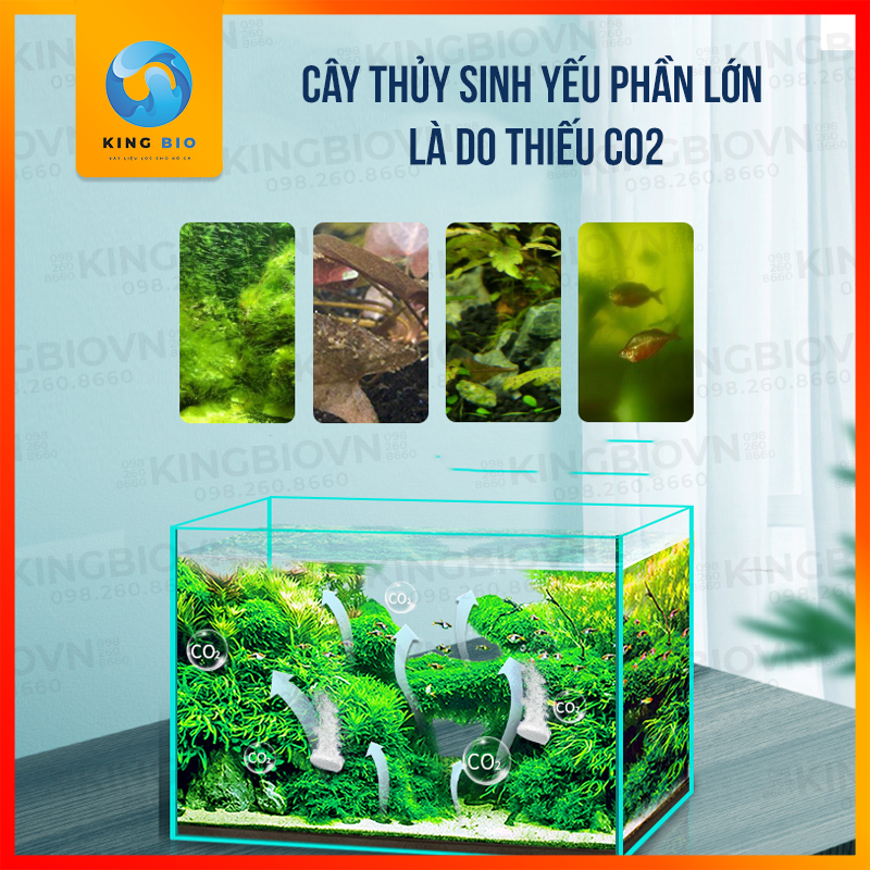 Viên sũi CO2 cao cấp – an toàn cho cá, tốt cho cây thủy sinh