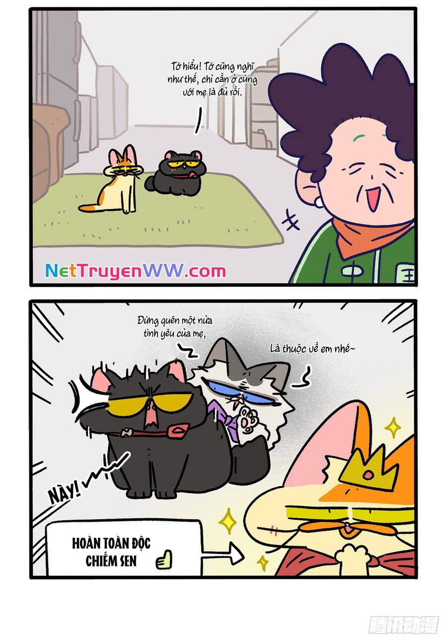 a mãn và mạch trà chapter 149.1 4