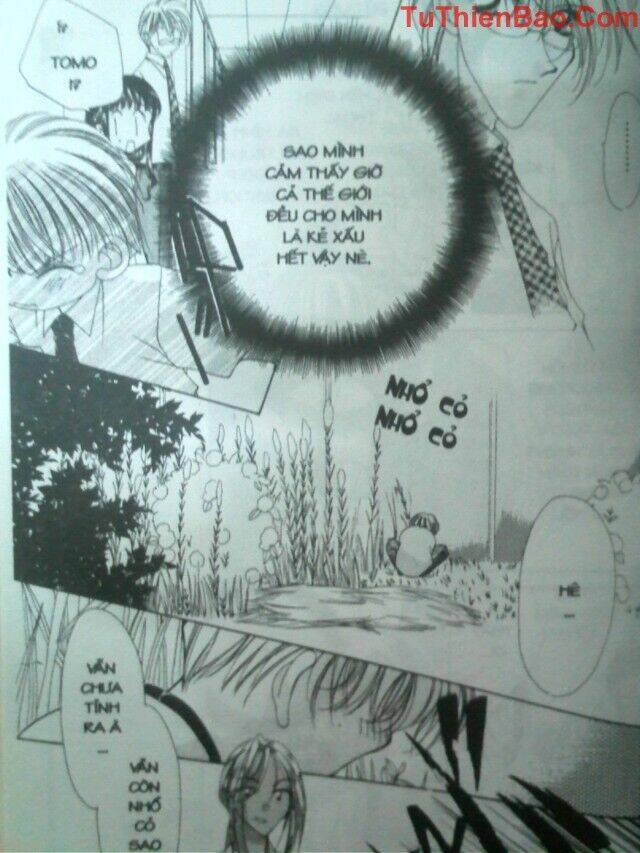 nguyện ước dưới ánh sao chapter 2 100