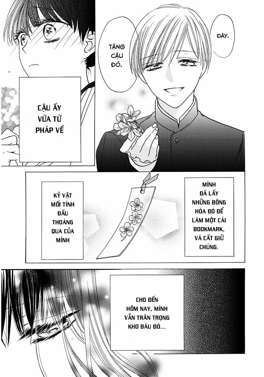 dưới bóng cây anh đào chapter 1 5