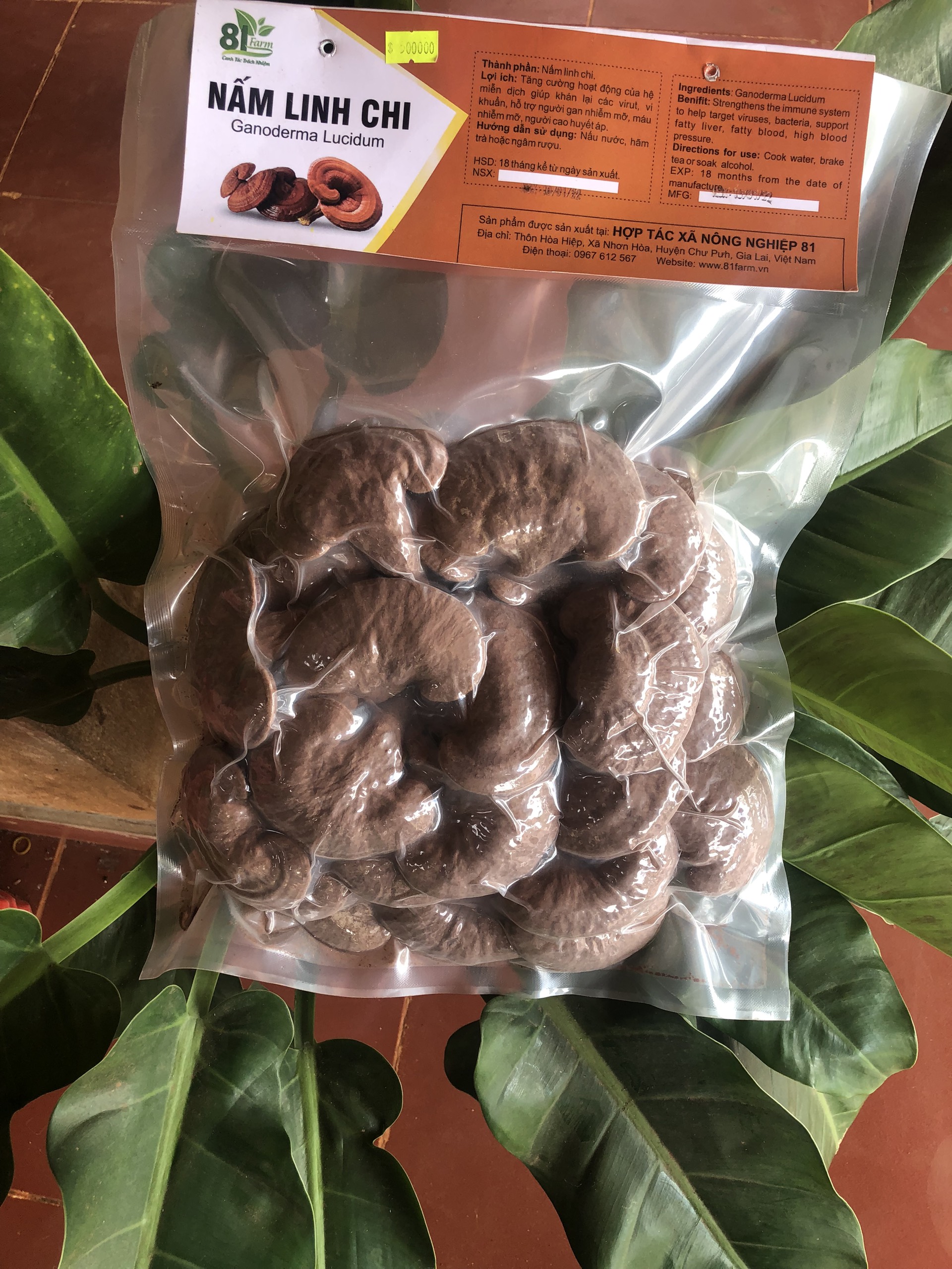 Nấm Linh Chi Đỏ Nguyên Tai ( Hồng Chi ) 500gram