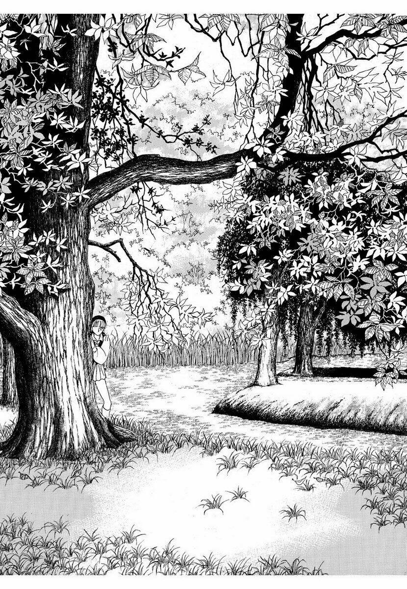 princess manhwa chapter 12 3