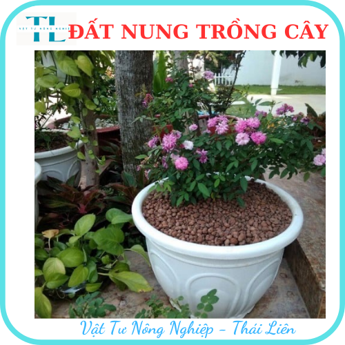 Hạt đất nung trồng cây thái lan, nhiều size, vô trùng, sử dụng lâu dài, trồng sen đá, phong lan, sứ, thuỷ canh