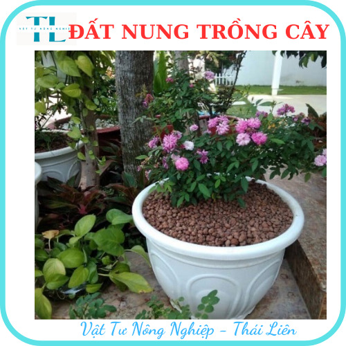 Hạt đất nung trồng cây thái lan, nhiều size, vô trùng, sử dụng lâu dài, trồng sen đá, phong lan, sứ, thuỷ canh (Bịch 1dm3 = 0.5kg)