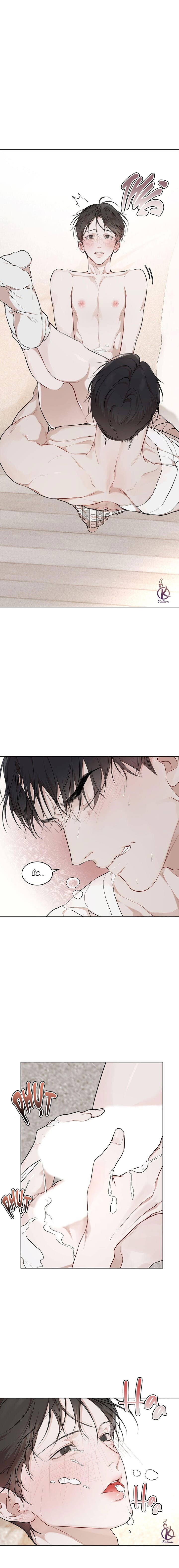 hình thái khởi sinh chapter 65 12