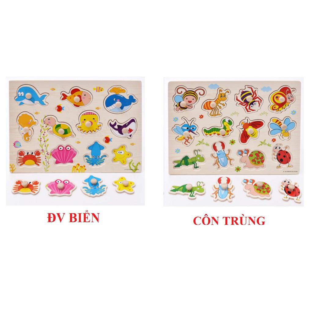 Combo 5 bảng gỗ có núm cầm chọn chủ đề cho bé 23x30 cm