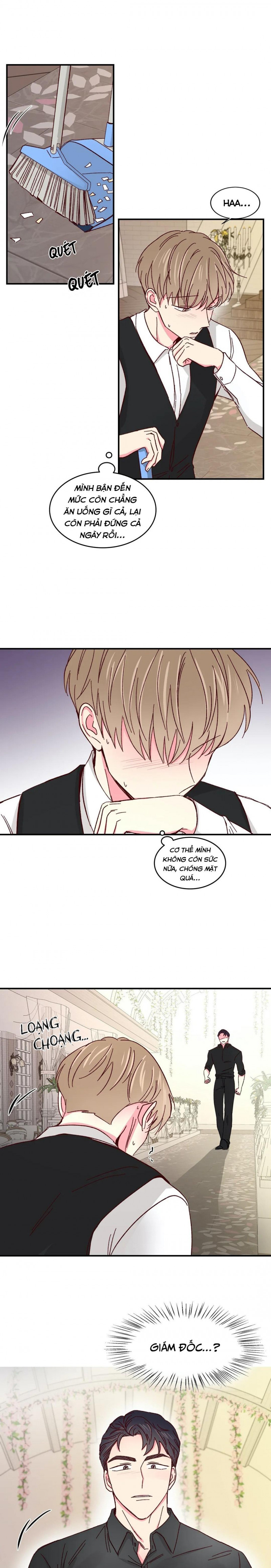 món tráng miệng của sếp tổng chapter 44 15