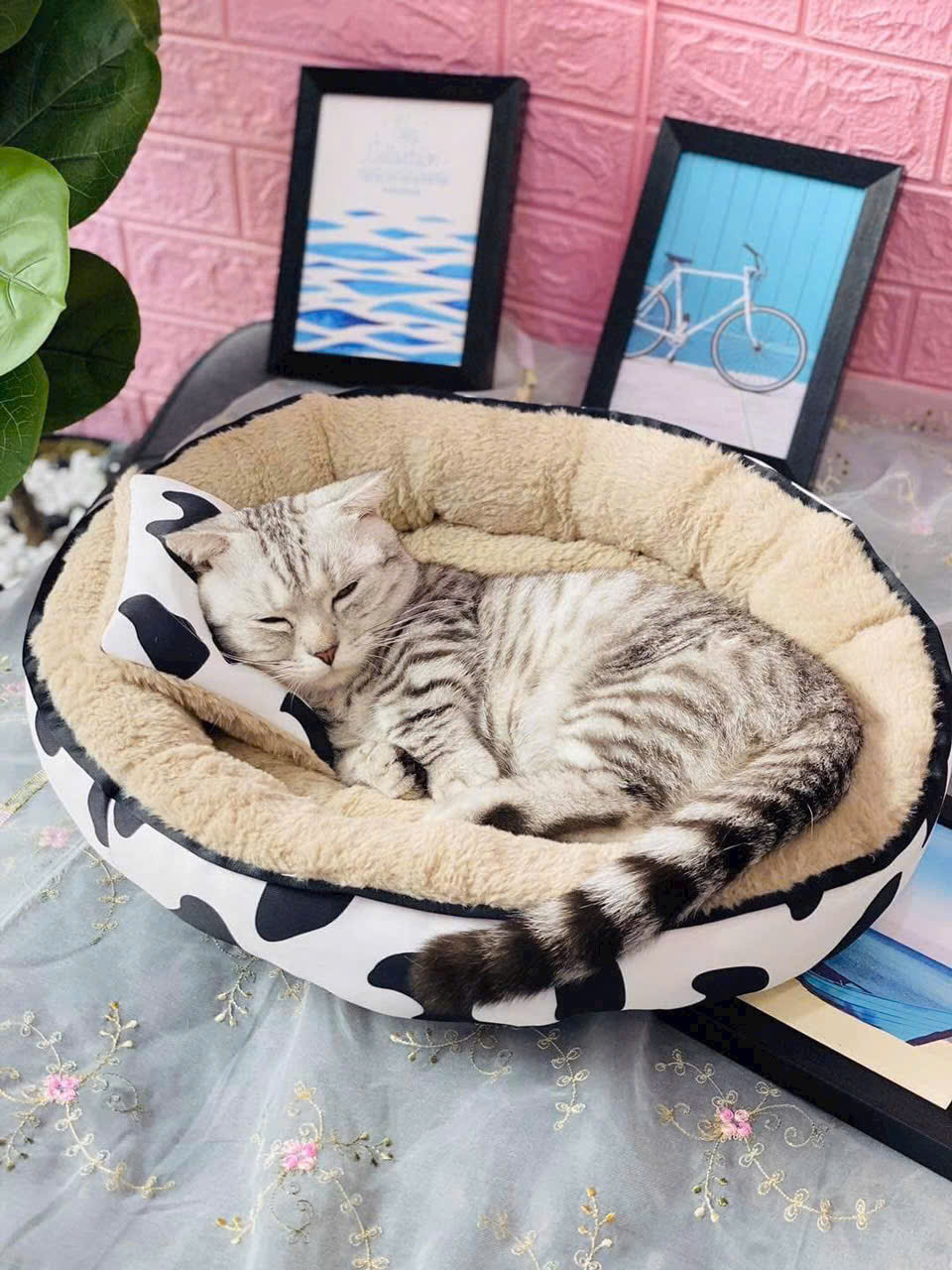 NỆM BÒ SỮA TRÒN SIÊU ÊM MỀM MỊN DƯỚI 6KG DÀNH CHO THÚ CƯNG CHÓ MÈO