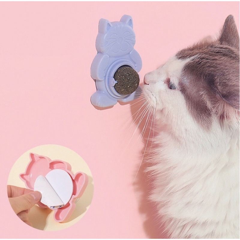 Cỏ bạc hà tươi dán tường cho mèo