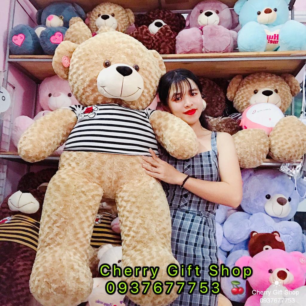 Gấu Bông Teddy Áo Thun Cao Cấp Giá Sốc 1m4 Ảnh Shop Chụp