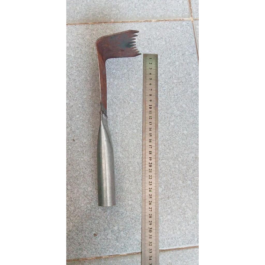 Móc dặm ruộng, móc góc cỏ, cây dại