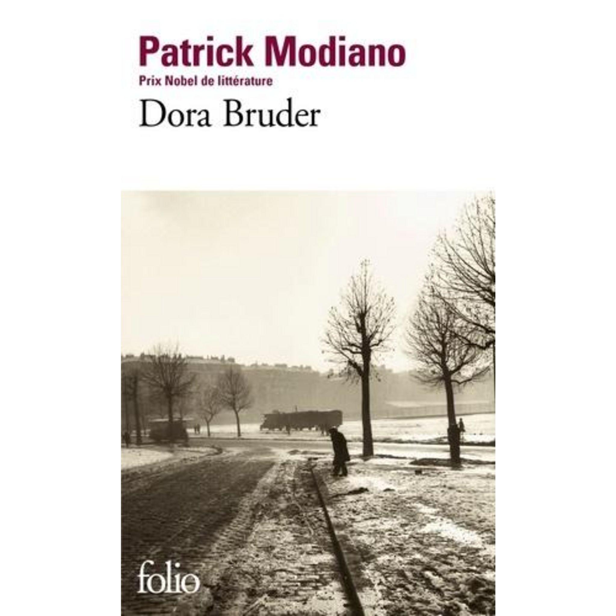 Tiểu thuyết đương đại tiếng Pháp - Dora Bruder