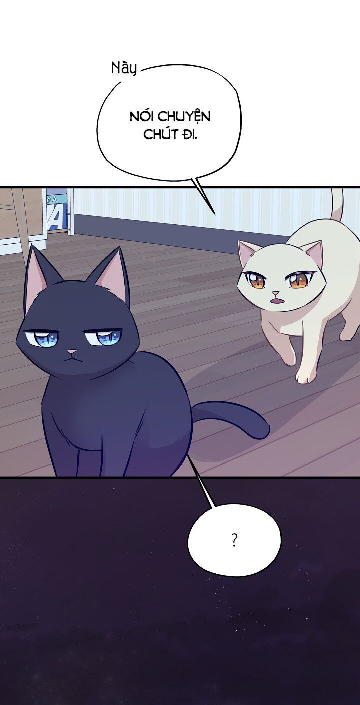 cuộc sống kỳ thú chapter 60 16