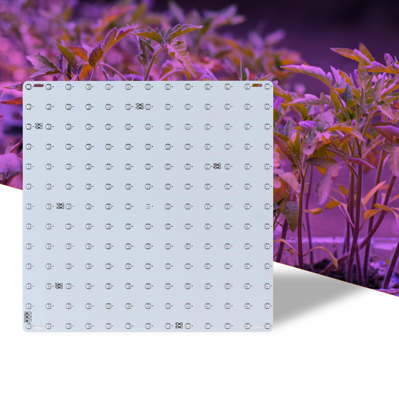 Bảng 169 Đèn Led Trồng Cây Quang Hợp Trong Nhà Kín
