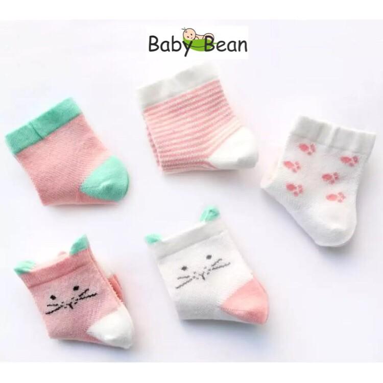 Set 5 Đôi Tất Thun Cotton cho bé từ 0 -2 tuổi BabyBean (Màu Ngẫu Nhiên)