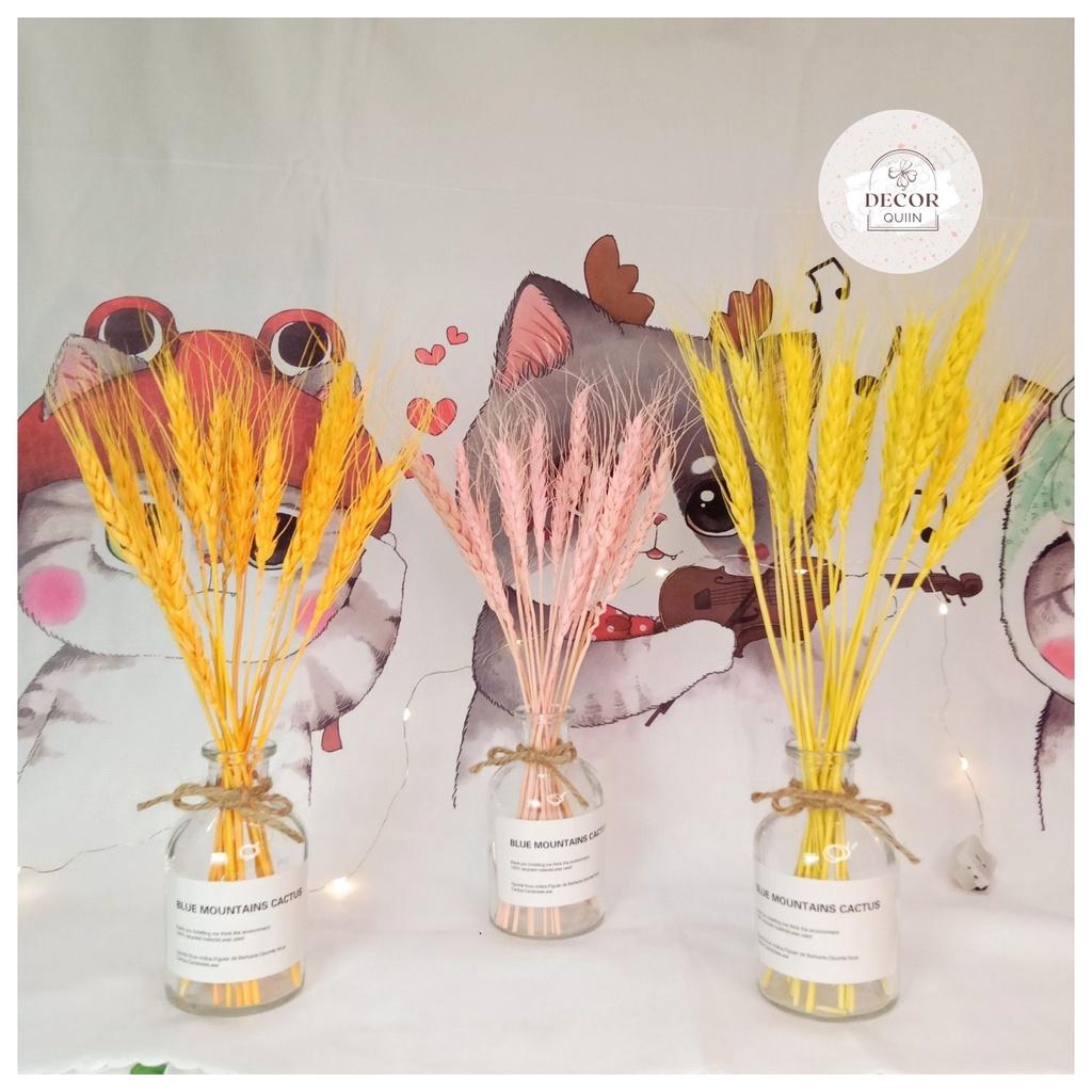 Lọ hoa để bàn️lúa mạch khô15 bông hoa khô trang trí quán cafe decor decor phòng quán trà sữa trang trí shop thời trang