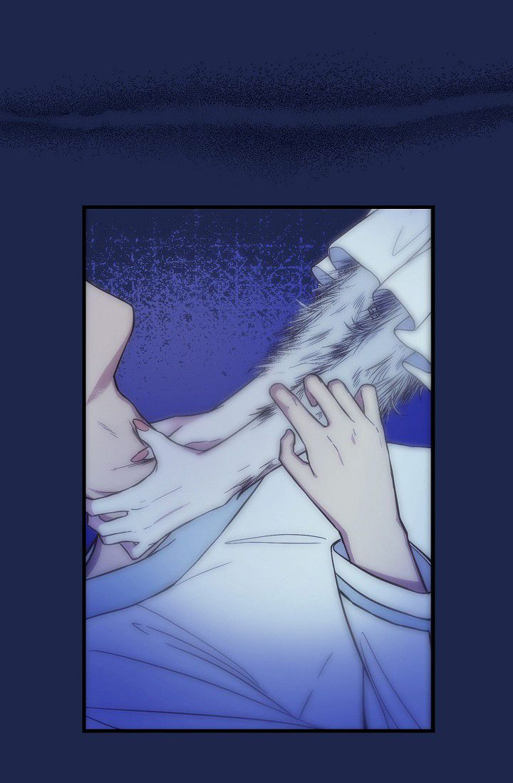 nữ hoàng sói chapter 18 19