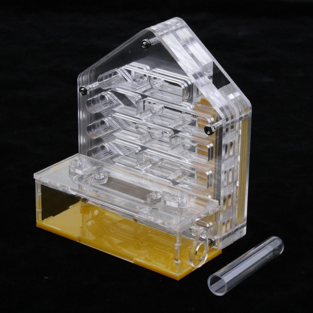 Clear Insect Ant Housing Acrylic Nest Ants Feed Farm Formicarium Box