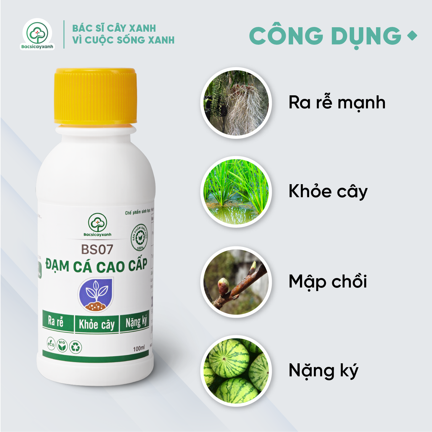 Đạm cá cao cấp BS07  - Chế phẩm sinh học giúp cây ra rễ mạnh, khỏe cây, nặng ký, ra hoa nhiều - 100ml